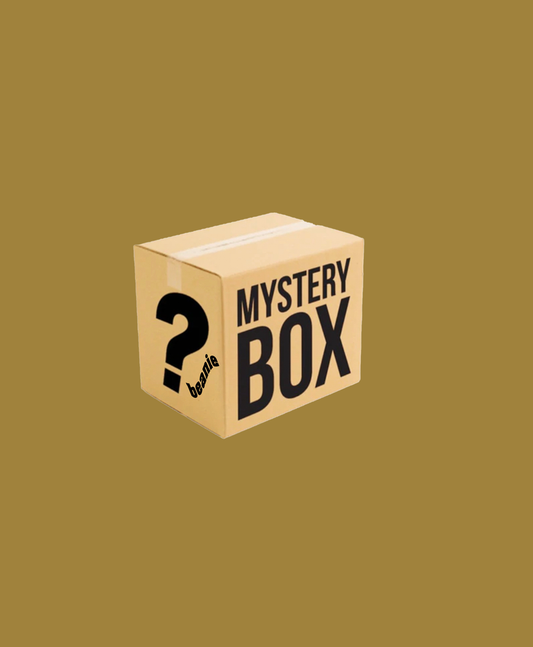 LV1 MYSTERY BOX
